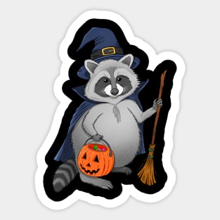 Raccoon Witch Sticker